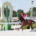 園田競馬ファンの穴党には受難の日　全１２レースで万馬券出ず　単勝１００円台の馬が６勝で２度の元返し