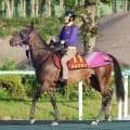 【ヴィクトリアＭ】小倉牝馬Ｓ勝利から挑むジョスランは順調な調整　追い切り後も「いつもと変わらず」と陣営