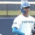 日本ハム・柴田獅子が勝ち越しの3点適時二塁打　エドポロケインが7号ソロ…14日のパ2軍
