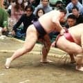 前日ゲリラ豪雨でタクシー40分待ち義ノ富士、天気と白星にホッ「少し楽になってきました」