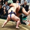藤青雲　若元春の得意な左四つから逆転のすくい投げ「苦しまぎれ」序盤戦４勝１敗に「出来すぎ」