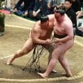 朝乃山○●○●○　白星先行も交互に続く現状に「そろそろ脱出したい」６日目は獅司