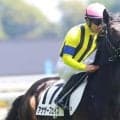 半兄は天皇賞(秋)覇者のマスカレードボール アナザーフェイスが初勝利狙う