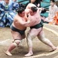 ３５歳の十両・錦木、５日目で初白星「最後は体ごと預けた。やっと勝って良かった」