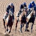 【ダービー】上原佑厩舎３頭併せ　ライヒスアドラー伸び脚目立つ　グリーンエナジーとゴーイントゥスカイも軽快なフットワーク　２週前追い切り　