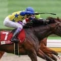 【武豊日記】展示会でのお話と今後のレースについて
