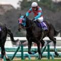 【京都ハイJ枠順確定】ネビーイームは4枠4番、シホノスペランツァは5枠5番