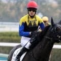 金子真人オーナーの2億円馬 テルアスワッドが連勝なるか
