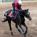 【ヴィクトリアＭ・金曜気配】４枠７番に決定したクイーンズウォークは軽めの調整　陣営「今年も好レースを期待します」