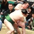 ３年ぶり関取返り咲きの炎鵬、連勝「５」でストップ　東白龍に押し倒されて物言いも軍配通り