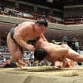 幕下・碇潟が無傷の３連勝　兄の幕内・藤ノ川直伝のまわしを切る技術で白星につなげる