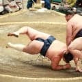 41歳の鉄人玉鷲が初日から６連敗　右足のサポーターに「下半身が強靭じゃないと」舞の海氏