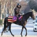 【注目馬動向】イクイノックス全妹イクシードはカーネーションＣへ　フラワーＣ３着以来の実戦