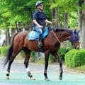 【香港チャンピオンズ＆チャターＣ】ローシャムパークが国内最終追い完了　田中博調教師「引き続き課題と向き合いながら...」