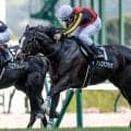 【新潟大賞典予想】前走で大敗した関東馬には要注意！ 今の新潟の馬場も不向きな軽視すべき人気馬