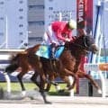 【川崎競馬】ブエンディアが２Ｒで川崎新馬戦一番乗り　３Ｒはロゴタイプのおいブラフキャッチがデビュー勝ち