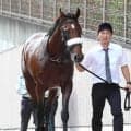【注目馬動向】アーモンドアイの初子アロンズロッドはダービーデーの青嵐賞へ　鞍上は引き続きルメール騎手　