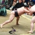 大関復帰の霧島、土つかずの６連勝　王鵬に押し込まれながらも逆転勝ち