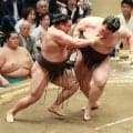 結びで木村庄之助が霧島に接触　尾上審判長「人間だから。行司さんも大変ですよ」
