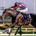 【日本ダービー想定馬・騎手】ロブチェン、コンジェスタスなど20頭
