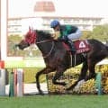 名牝ラヴズオンリーユーの子を異例の「一口１円」で募集　ＤＭＭドリームクラブで合計口数は４万口