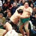 一山本くるり一回転…立ち合いでいなされ４敗目も「明日もいきますね」全力の立ち合い継続を宣言