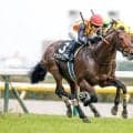 【今日の注目ポイント】新潟大賞典と京都HJの2重賞