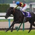 クロワデュノールが首位発進…宝塚記念ファン投票 第1回中間発表