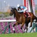 【ヴィクトリアマイル】二冠牝馬エンブロイダリーは6枠12番