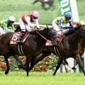 約2年ぶり実戦シュガークンに注目…武豊騎手騎乗馬
