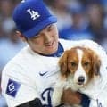 大谷翔平、愛犬デコピンの３歳誕生日を祝福「ケーキの食べ方がお上品」「ほっこり」の声