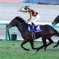 【注目馬動向】宝塚記念で今年初戦を迎えるミュージアムマイル　鞍上はダミアン・レーン騎手に決定