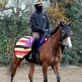 【ヴィクトリアＭ・土曜気配】２４年２冠牝馬チェルヴィニアが好気配　２戦連続ブリンカー着用で完全復活へ