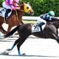 新潟で衝撃の走り！前走１４着から連闘で５馬身差Ⅴの激変ぶりに「すんごい脚」「やばいわ」　新潟７Ｒのシャンハイナイト