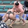 矢後が４敗目　「負け越した後の相撲が大事。頑張るしかないです」