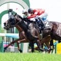 【京都９Ｒ・あずさ賞】コントレイル産駒レッドラージャがＶ　坂井瑠星騎手「緩さが残る中で勝ち切れて、能力の高さを感じた」