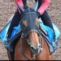 【新潟大賞典】７番人気グランディアが重賞初制覇 　西村淳也騎手は京都新聞杯コンジェスタスに続き、２週連続重賞Ｖ