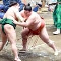 新十両の大花竜が連敗を５で止める「やっとですね」　前日は部屋の元幕内・天空海の助言で気分転換