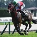 【鞍馬S結果】フリッカージャブが1分06秒4のレコードで快勝