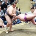 友風が４日連続のはたき込みで４勝目　１４キロの体重減で動き良し