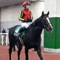 【新潟大賞典】３番人気のアンゴラブラックは１０着　岩田康誠騎手「勝負に行ったけども…」