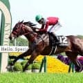 【鞍馬Ｓ】断然人気フリッカージャブがコースレコードＶ　松山弘平騎手「非常に強かった」　今後は北九州記念を視野に
