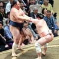 ４１歳の幕内・玉鷲が初日から７連敗「今日は相撲を取らせてもらえなかった」