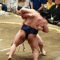 藤青雲「実力以上」５勝２敗も緩みなし　藤島部屋躍進　藤凌駕も白星先行「自分が引っ張って…」