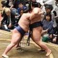 幕内２場所目の藤青雲が連敗免れ５勝目「精神的に全然違う」新入幕で敢闘賞から一層の飛躍誓う【大相撲夏場所】
