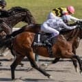 【中ノ岳特別】武豊騎乗アークドールがハナ差V…測ったような差し切り