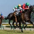 【石打特別】断然人気ルールーリマが差し切り快勝…ルメール騎手の手綱で2勝目