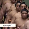 「この生物は何だ」伯乃富士、“異彩”を放つ化粧まわしに熱視線「おっちかわいい」