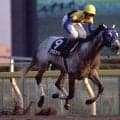 5月17日は「大谷翔平の日」 異なるカテゴリーで活躍した競馬界の“二刀流”たち