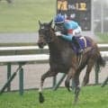 【ヴィクトリアM予想】春の古馬女王決定戦 東京マイルで実力馬が激突
